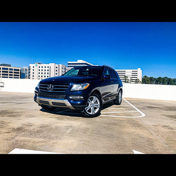 Meet your Posher, Jackson - Picture 3 of 11